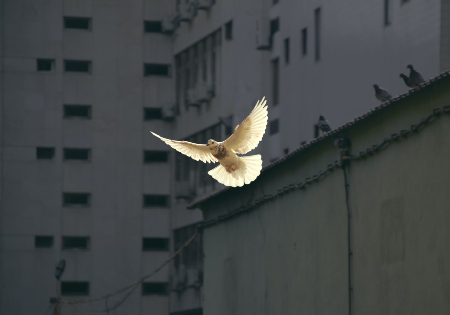 Photo credit: Sunguk Kim Photo credit: Sunguk Kim