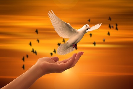 Image by Gerd Altmann from Pixabay Image by Gerd Altmann from Pixabay